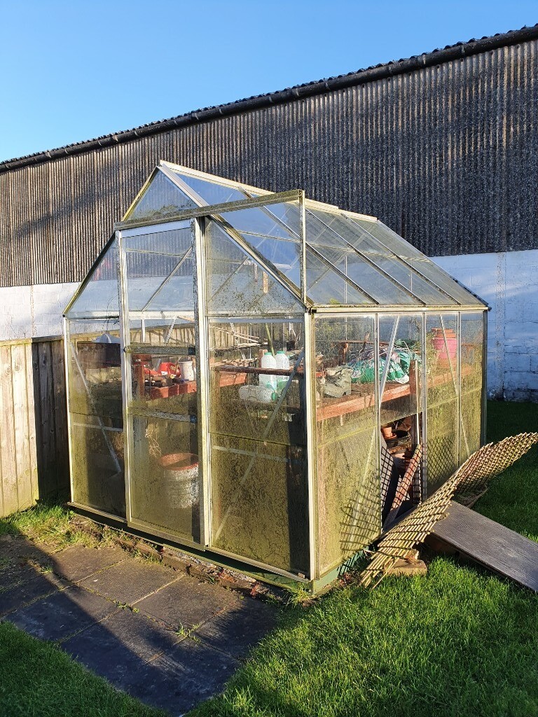 Aluminium Greenhouse with Staging in BartonuponHumber, Lincolnshire