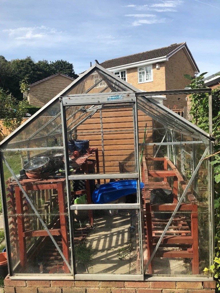 Greenhouse (Large) Shelves and Pots Planters in Newton Aycliffe