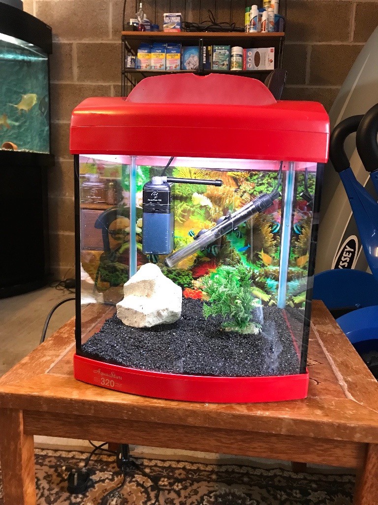 28l aqua fish tank full set up with filter heater light lid gravel