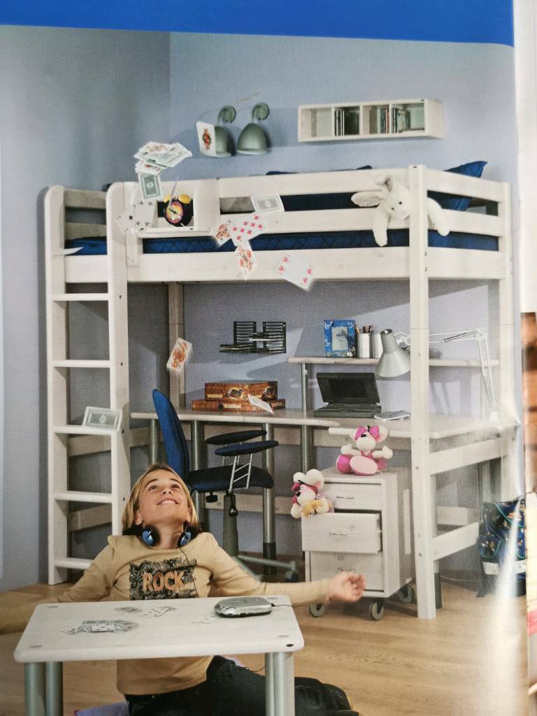 My world flexa high sleeper children's bed in Norwich, Norfolk Gumtree