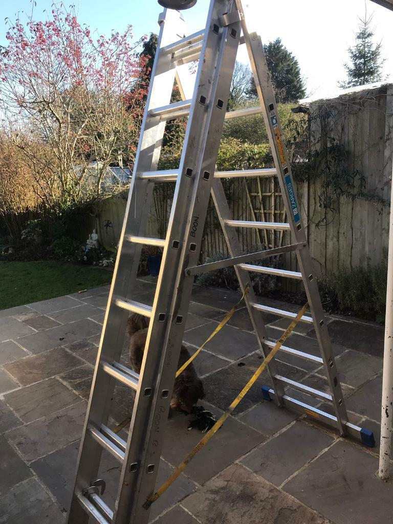 A frame ladder in Earley, Berkshire Gumtree