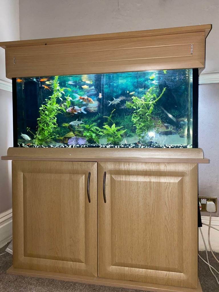 3ft Fish Tank in Crook, County Durham Gumtree