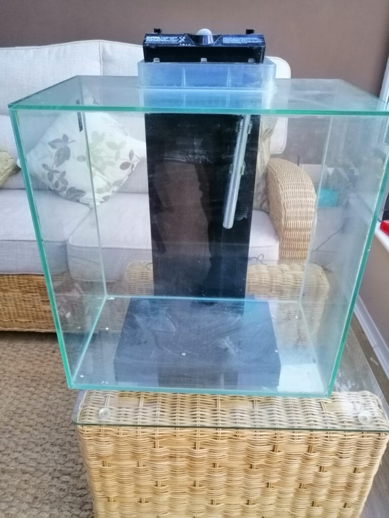 Large 45L Fluval fish tank with accessories in Exeter, Devon Gumtree