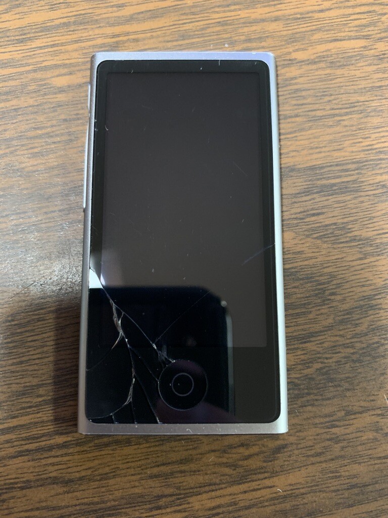 Apple iPod nano 7th Generation Space Gray (16 GB) Bundle - See Pictures