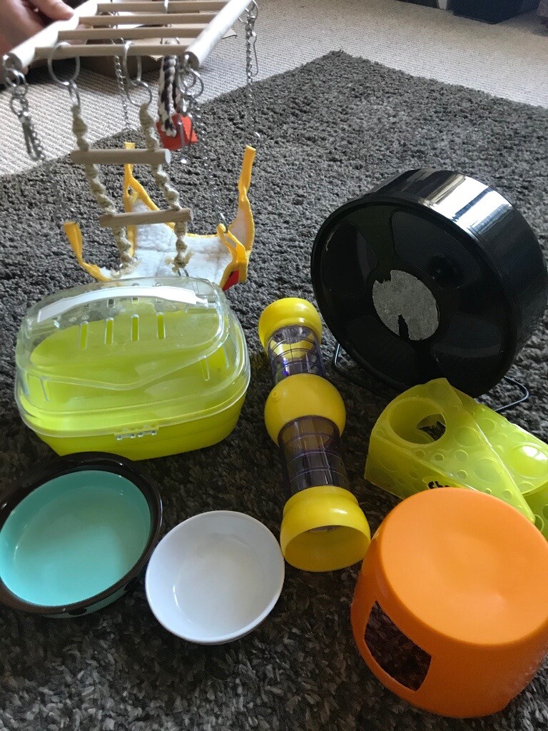 Hamster accessories in Kinghorn, Fife Gumtree