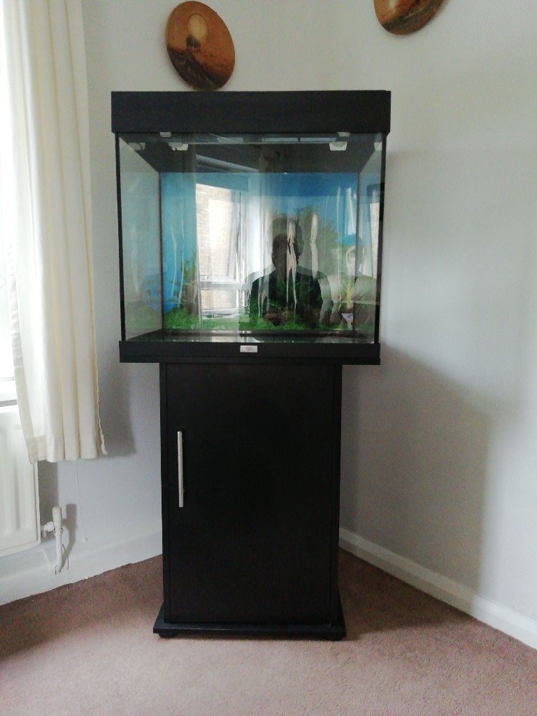 JUWEL 120 FISH TANK AND STAND in Kennington, Kent Gumtree