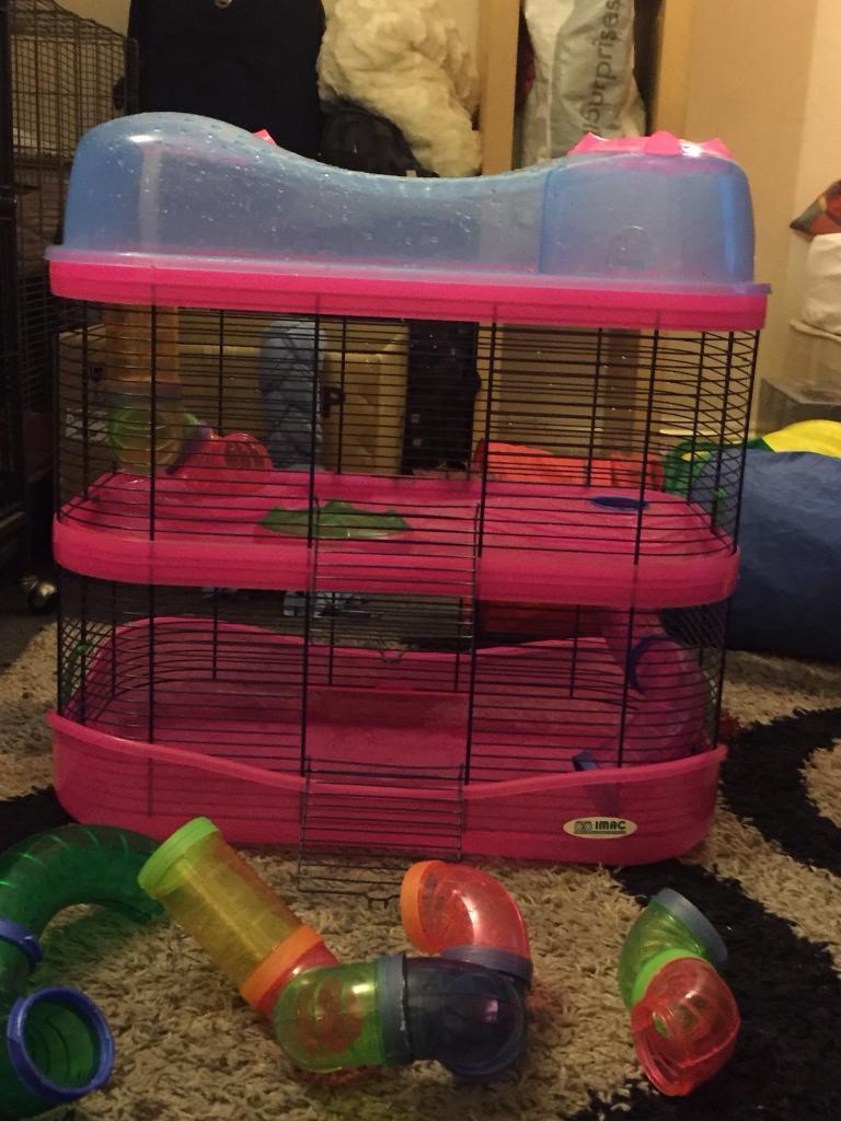 hamster cage double unit in Upper Knowle, Bristol Gumtree