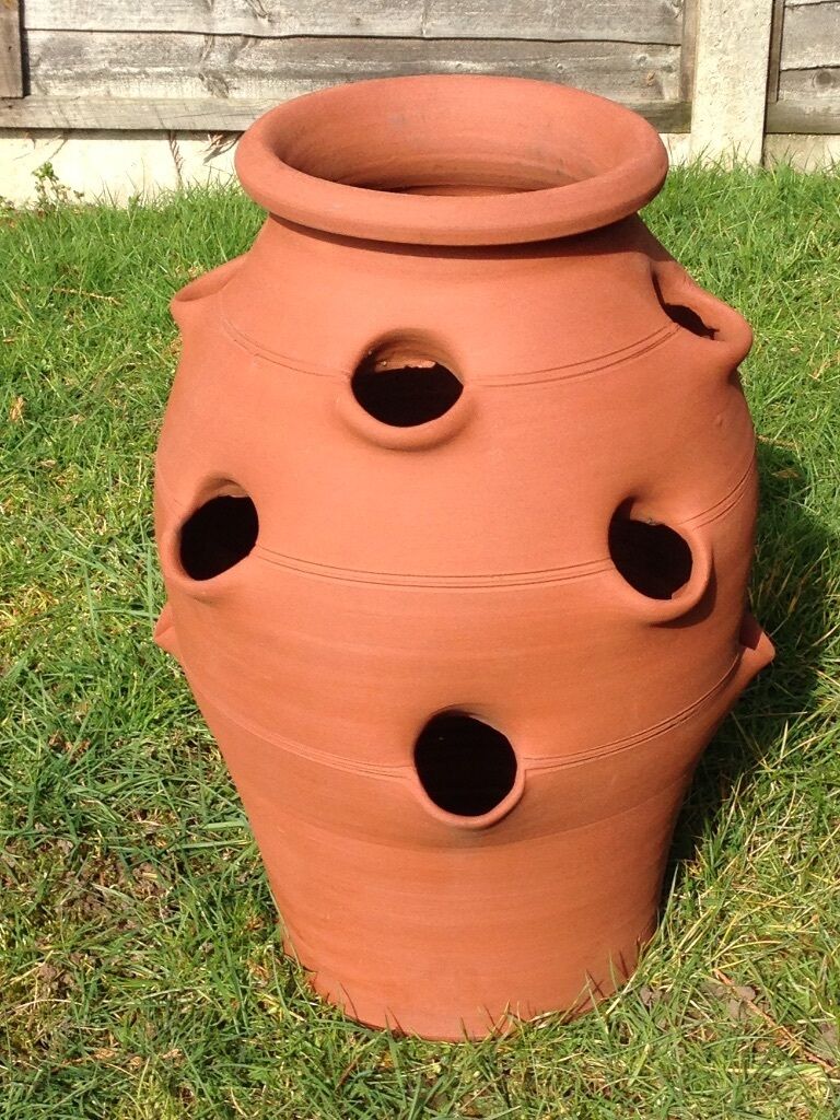 Large Terracotta  Strawberry  Planter For Sale in Woking 