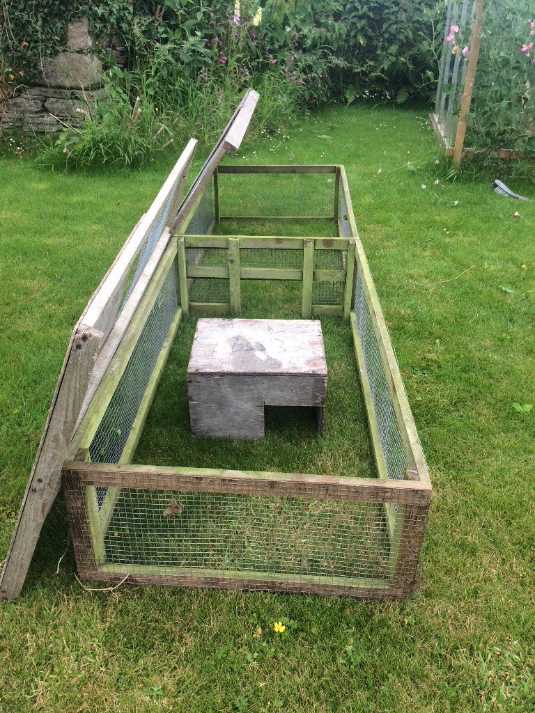 Guinea pig run in Tavistock, Devon Gumtree