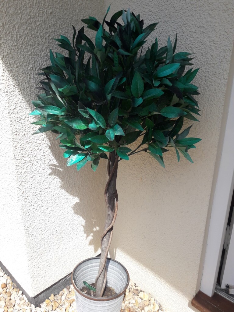 2 lovely artificial green bay trees in Chepstow, Monmouthshire Gumtree
