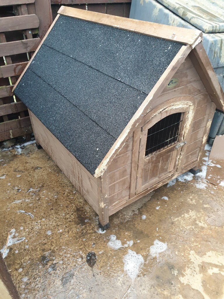Cheeko large dog kennel in Ballymena, County Antrim Gumtree