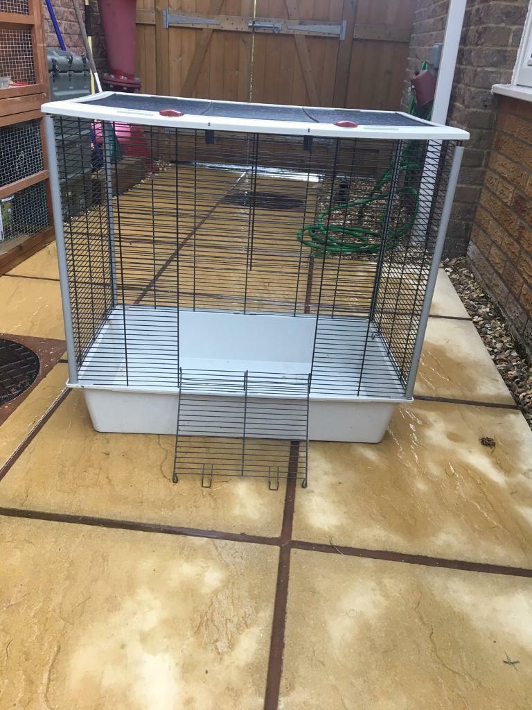 Free hamster cage in Honiton, Devon Gumtree