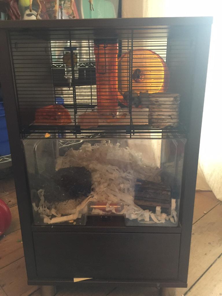 Omlet hamster cage in Horsham, West Sussex Gumtree