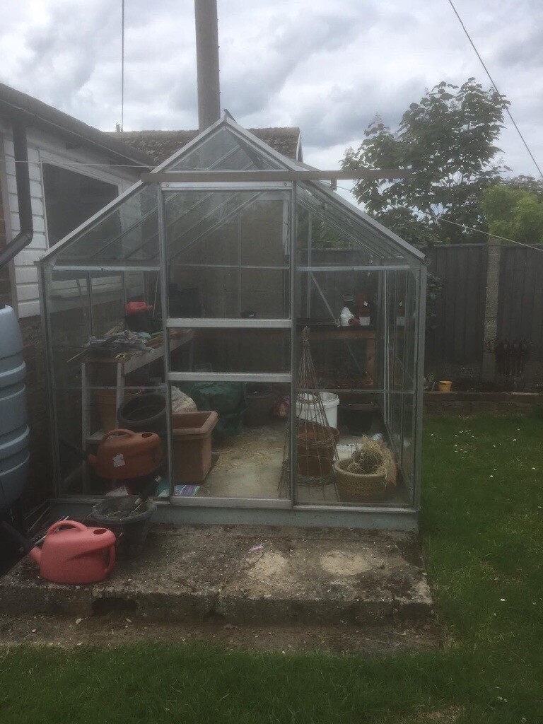 Greenhouse 8x6 in Norwich, Norfolk Gumtree