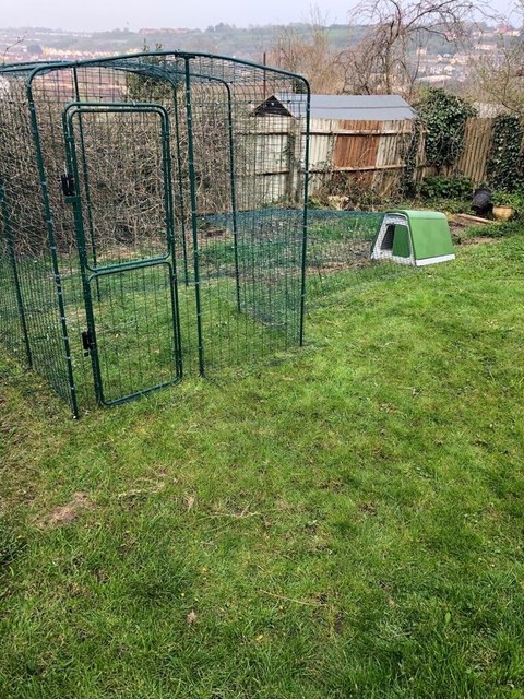 Omlet Eglu Go House 3m Run And Walk In Run In Bedminster Bristol Gumtree