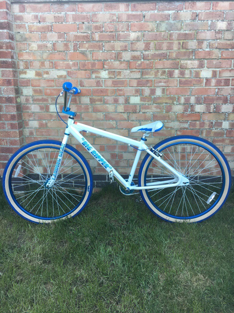 arctic white big ripper