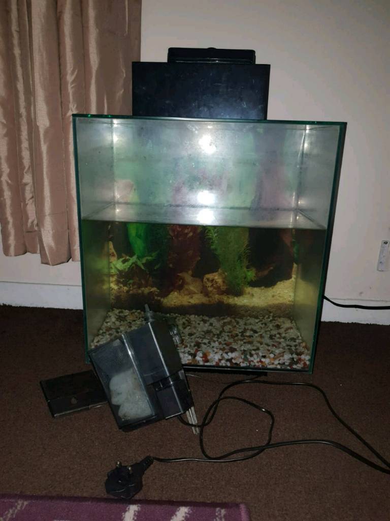 Fish tank with filter, stones and reversable backing in Norwich