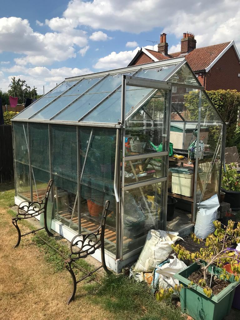 Hall AGL 8x6 Greenhouse with base in Norwich, Norfolk Gumtree