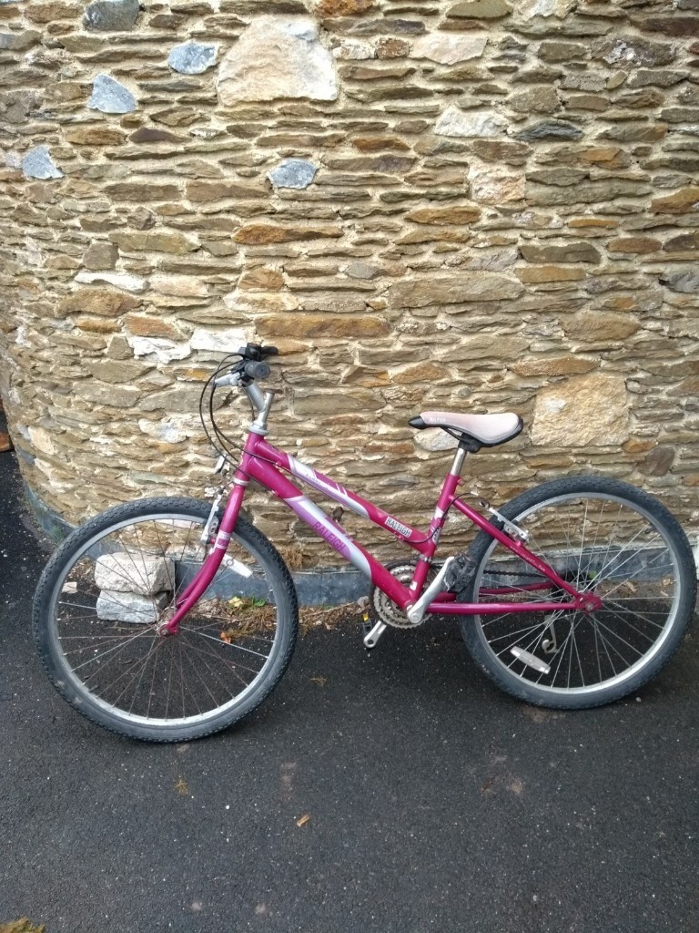 raleigh bikes for girls