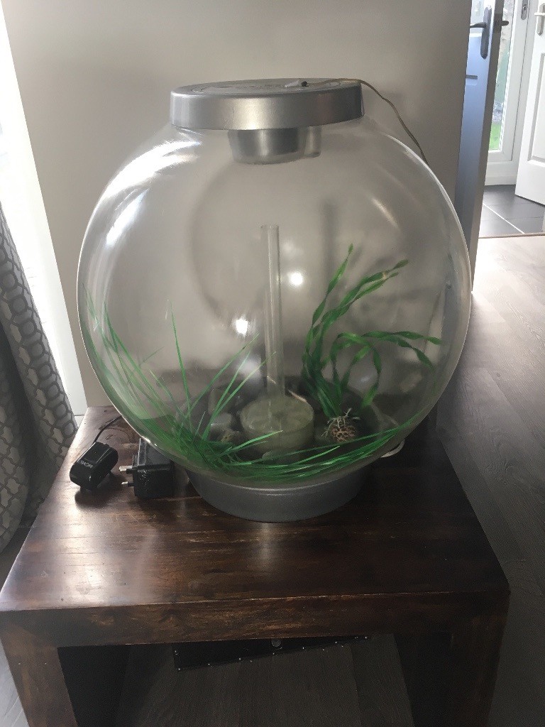 Bi orb 60 litre fish tank in very good used condition , comes with pump and accesories in Hull