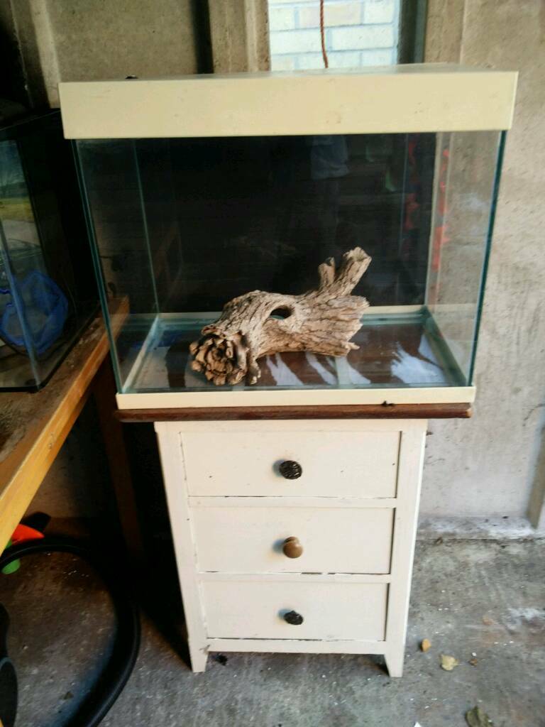 Tropical White fish tank | in Southampton, Hampshire | Gumtree