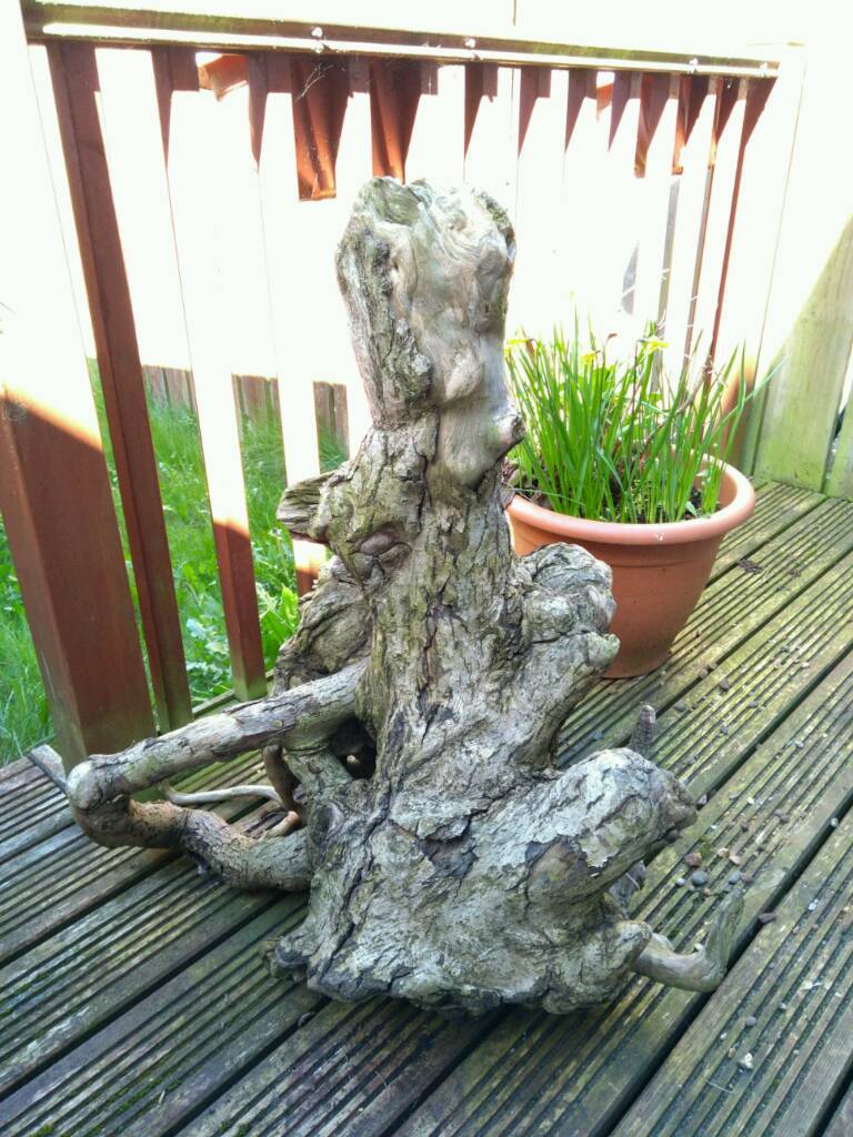 Large Driftwood stump in North Shields, Tyne and Wear Gumtree