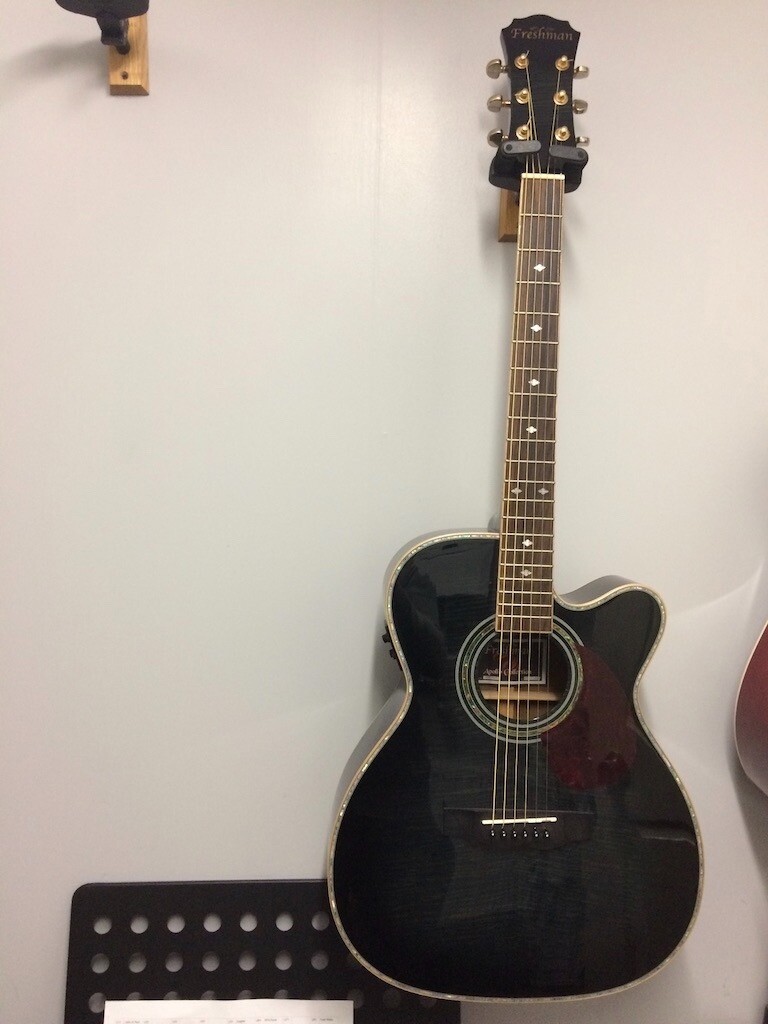 Freshman Electroaccoustic guitar in Polmont, Falkirk Gumtree