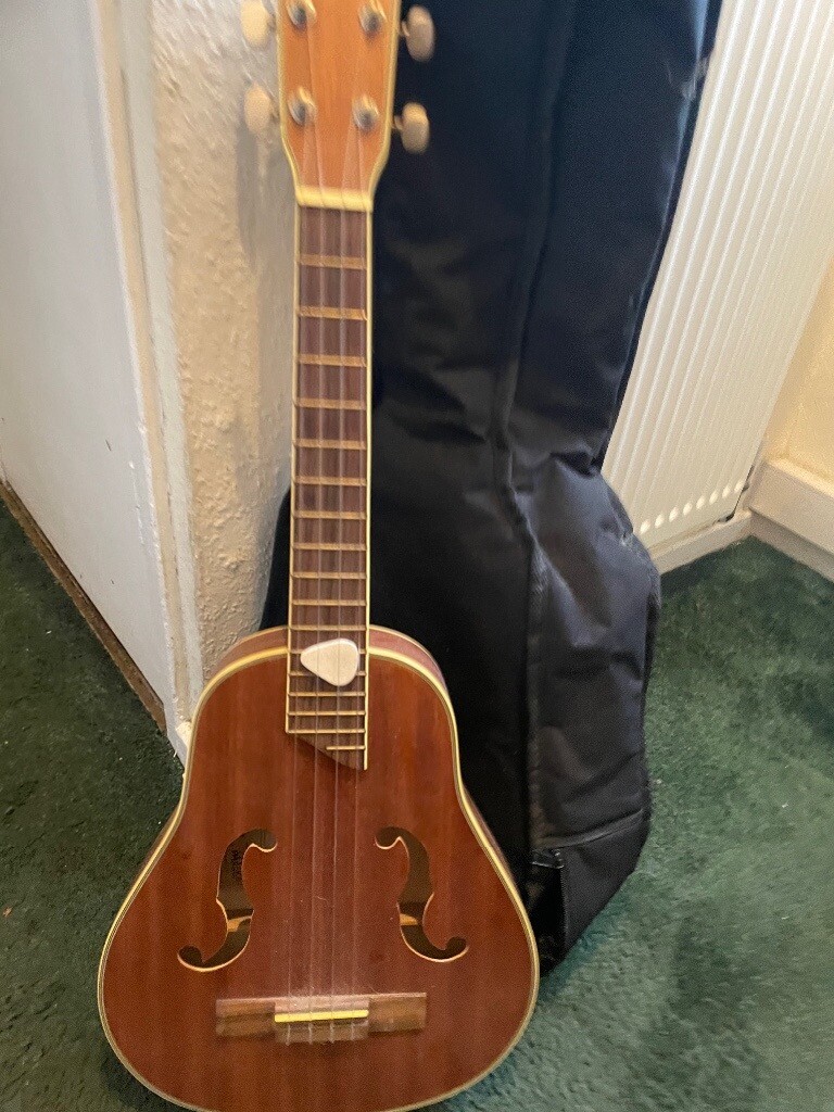 Blue moon guitar in Birmingham, West Midlands Gumtree