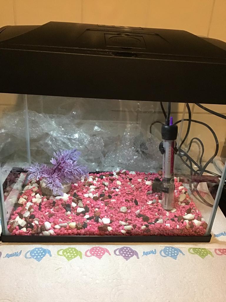 20 litre fish tank nearly new cold water or tropical in Gateshead