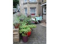 Large 3 beds Ground floor Victorian Flat in Hove bn3