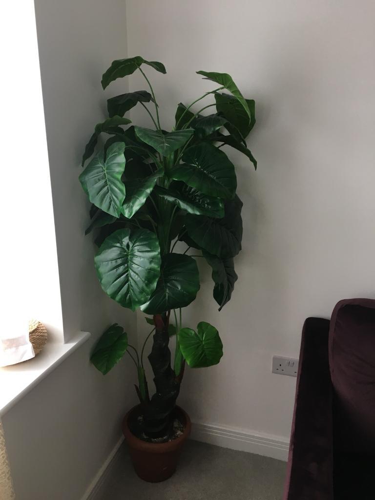 Artificial 6 foot tall plant with large leaves in Aspley