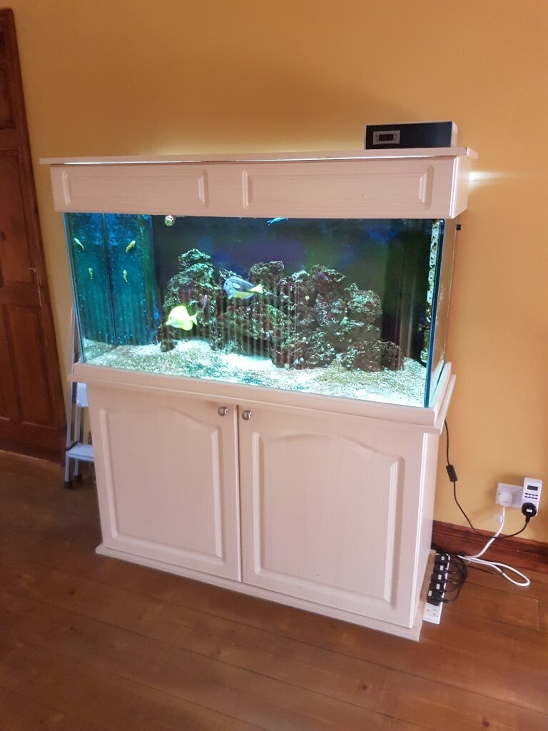 4ft 270 Litre full setup marine saltwater reef tank complete with