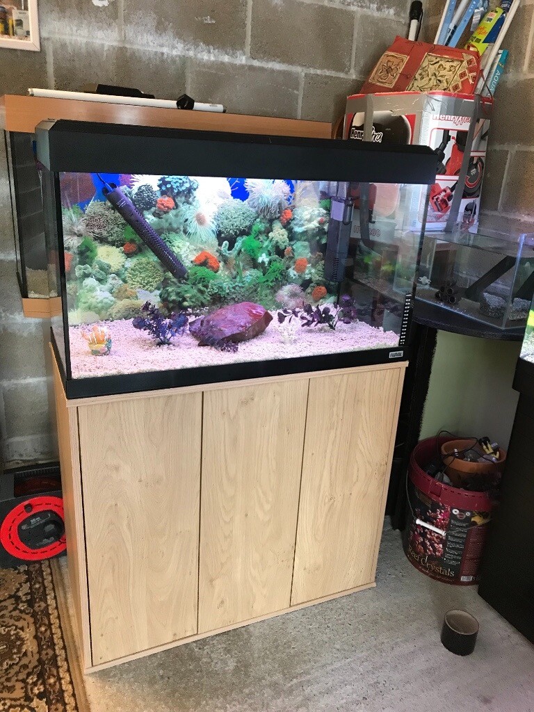 125l fluval fish tank full set up with stand 2 x t8 lights filter