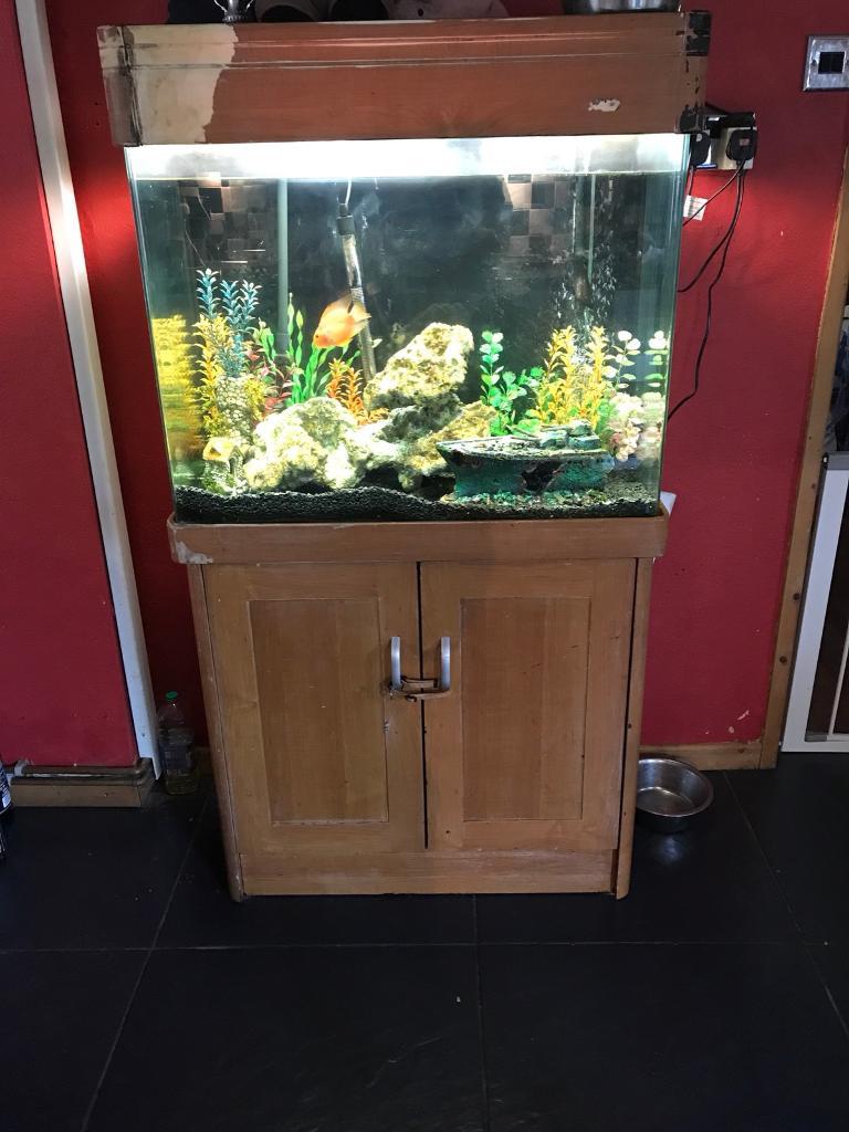 Large fish tank in Hyde, Manchester Gumtree