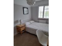 Lovely light, warm double room to rent in Brighton/Hove
