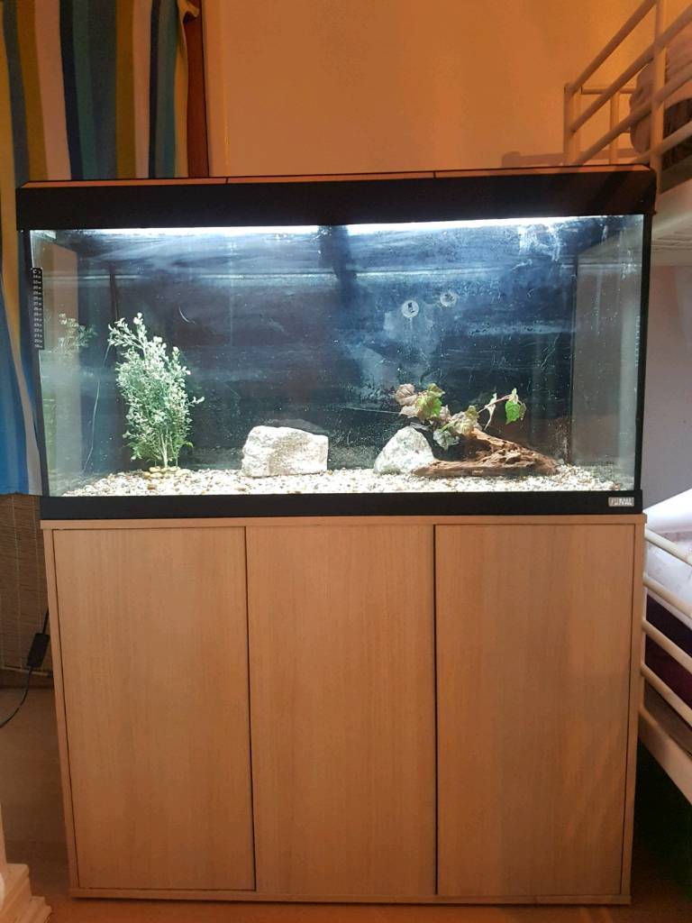 Fluval 180 liter Fish tank and Stand For Sale in Trafford, Manchester