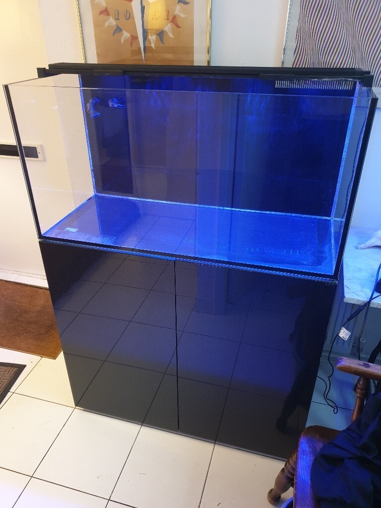 Evolution aqua marine aquarium fishtank in Finchley, London Gumtree