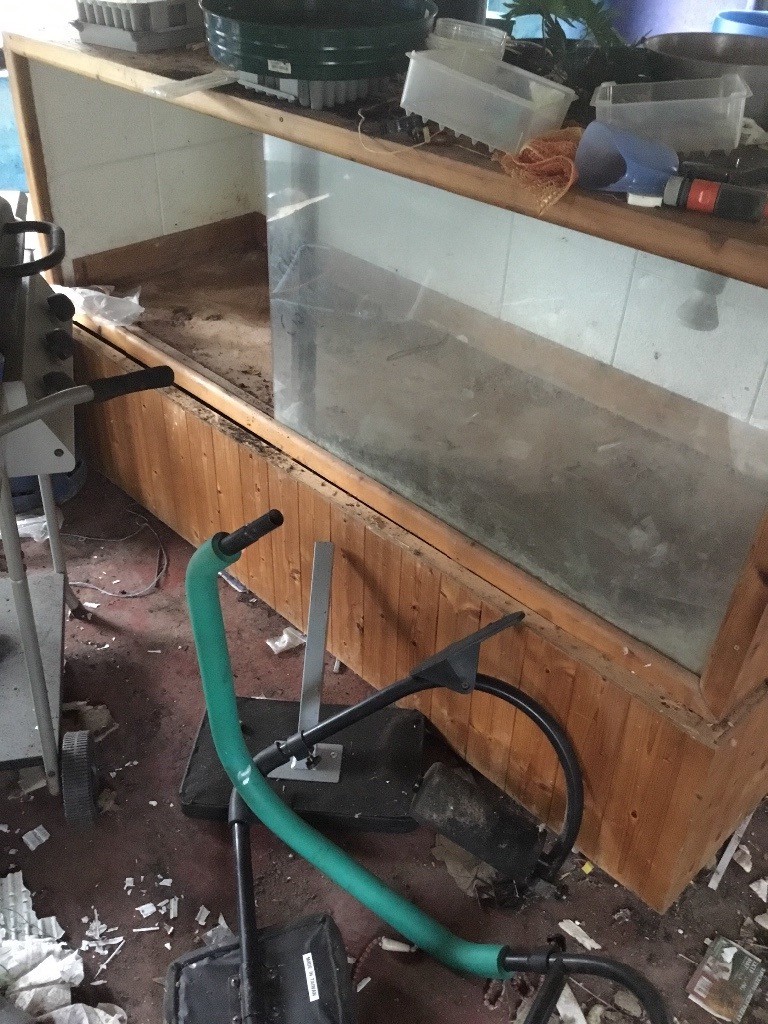 6 foot reptile tank | in Wellington, Somerset | Gumtree
