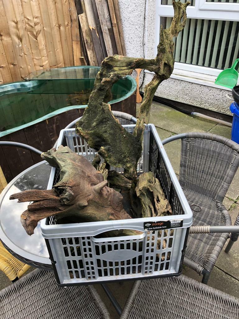 Fish tank bog wood in Moston, Manchester Gumtree
