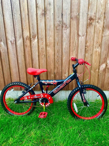 three speed beach cruiser