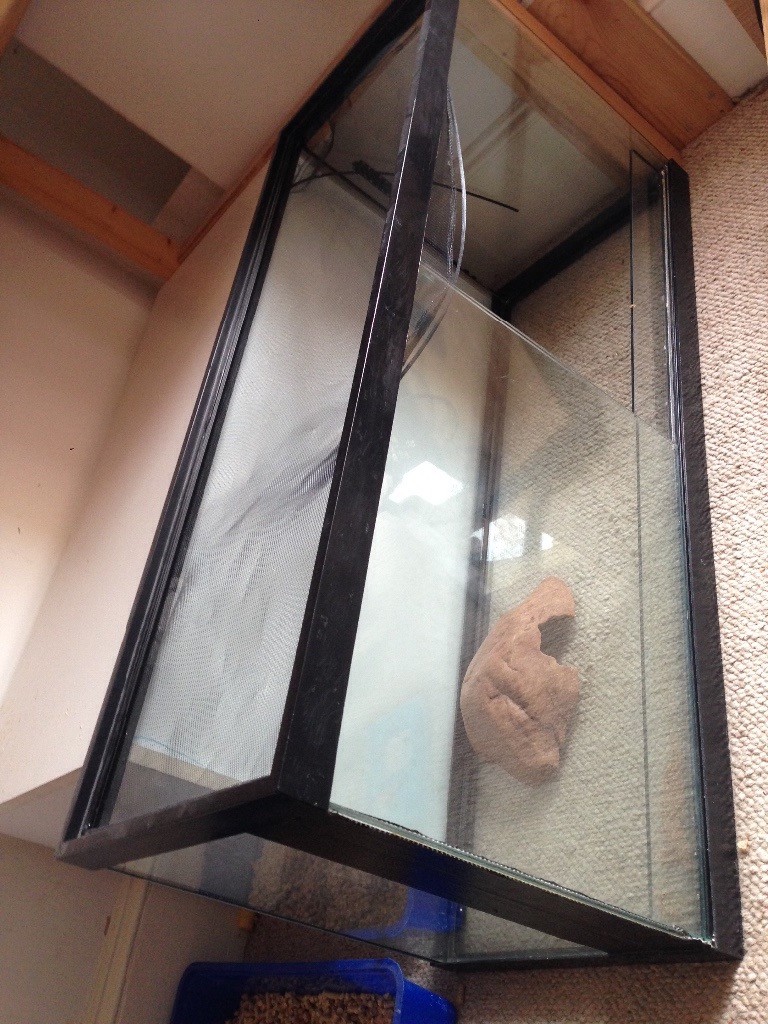 3ft glass vivarium with heat lamp in Plymouth, Devon Gumtree