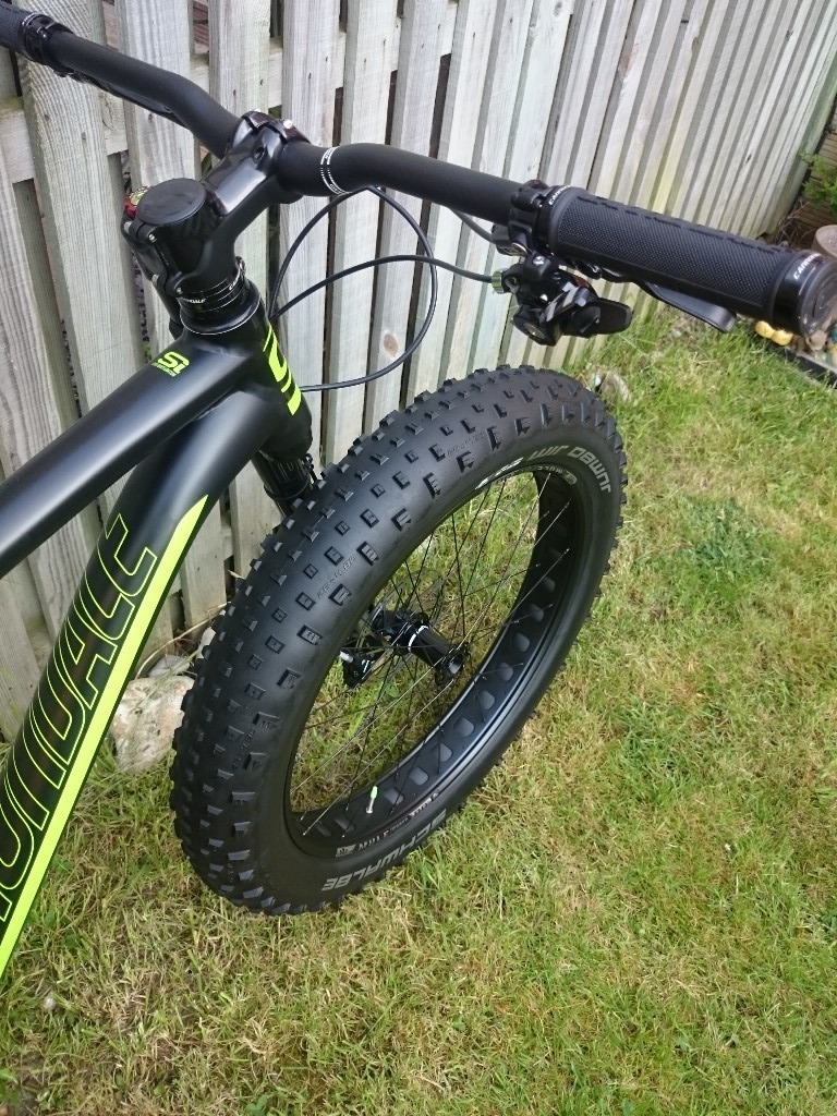 cannondale fat bike