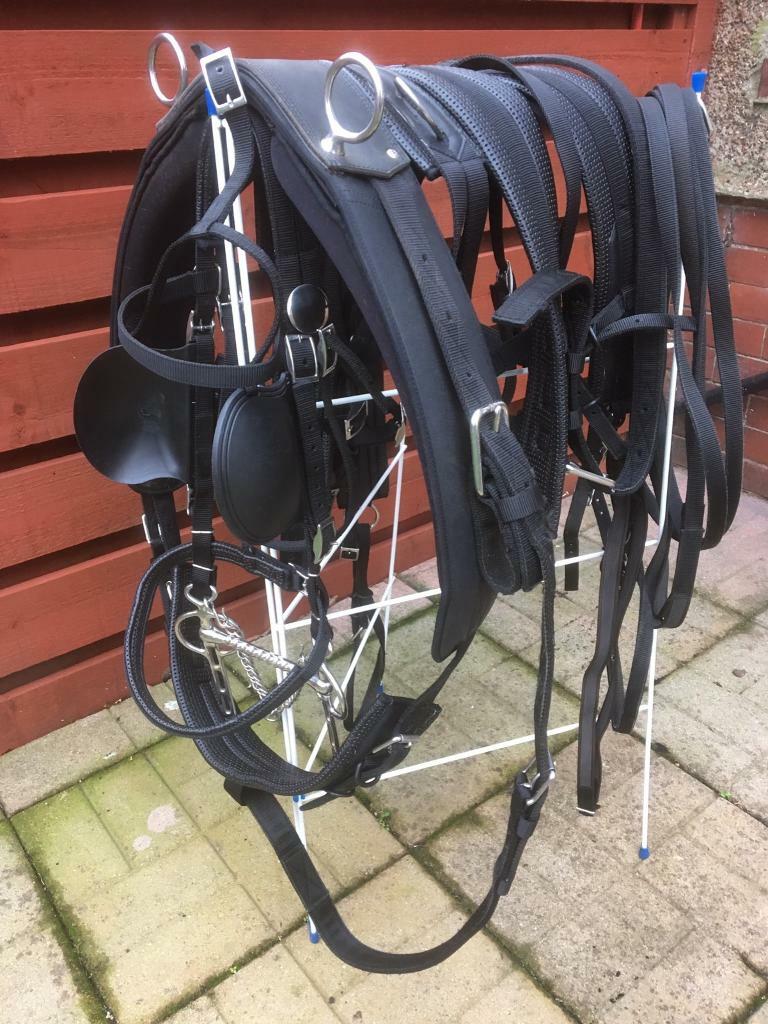 Driving Harness for horse in Amble, Northumberland Gumtree