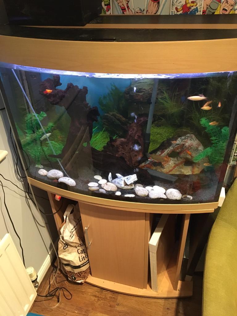 Amazon 200 litre fish aquarium with all the relevant working paets in Spencers Wood, Berkshire