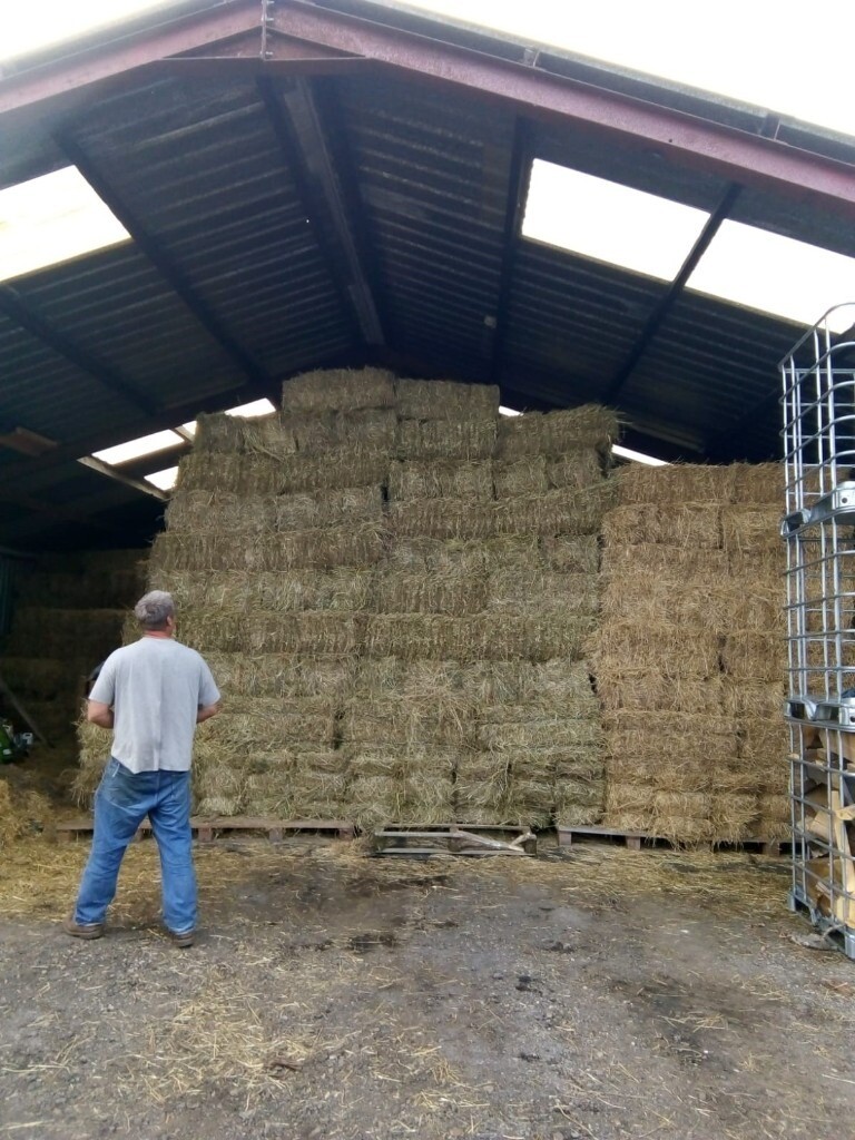 Small Hay Bales in Widnes, Cheshire Gumtree