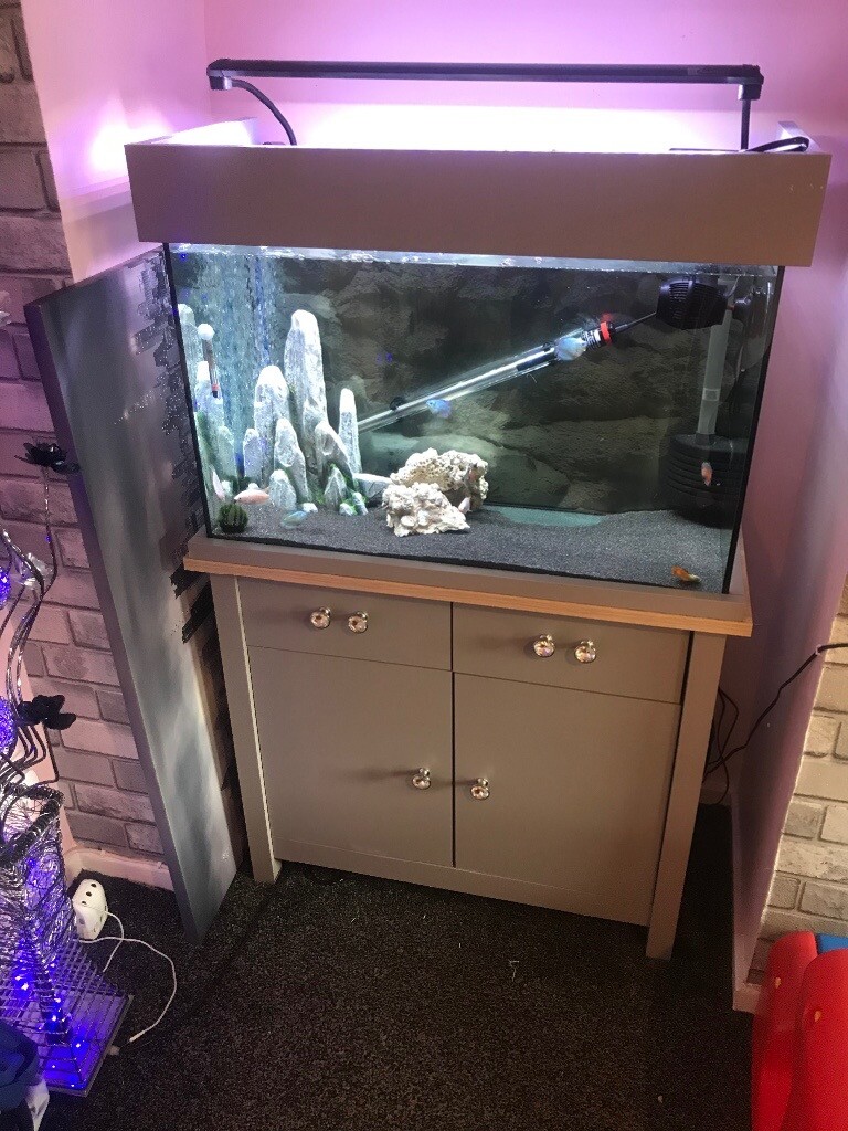 Fish tank in Sheffield, South Yorkshire Gumtree