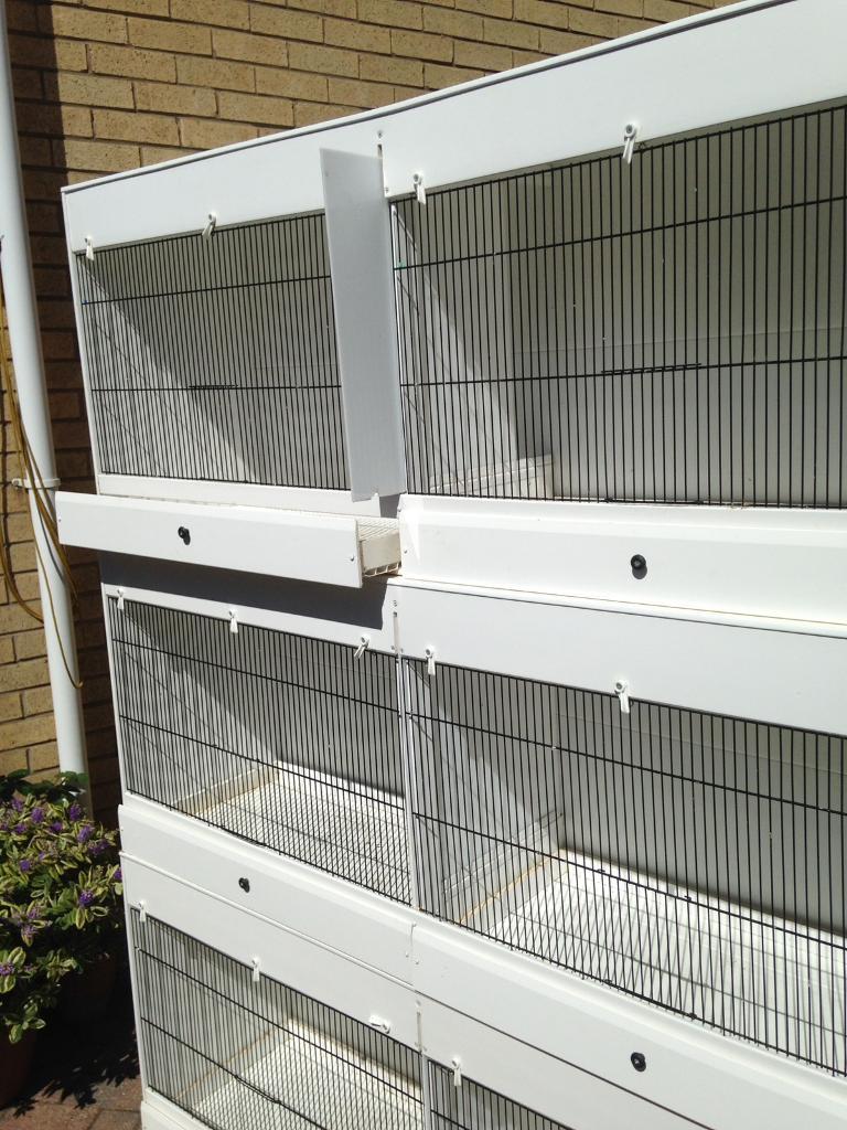 Plastic breeding cages in Halfway, South Yorkshire Gumtree