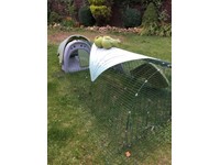 Omlet Run Pet Equipment Accessories For Sale Gumtree