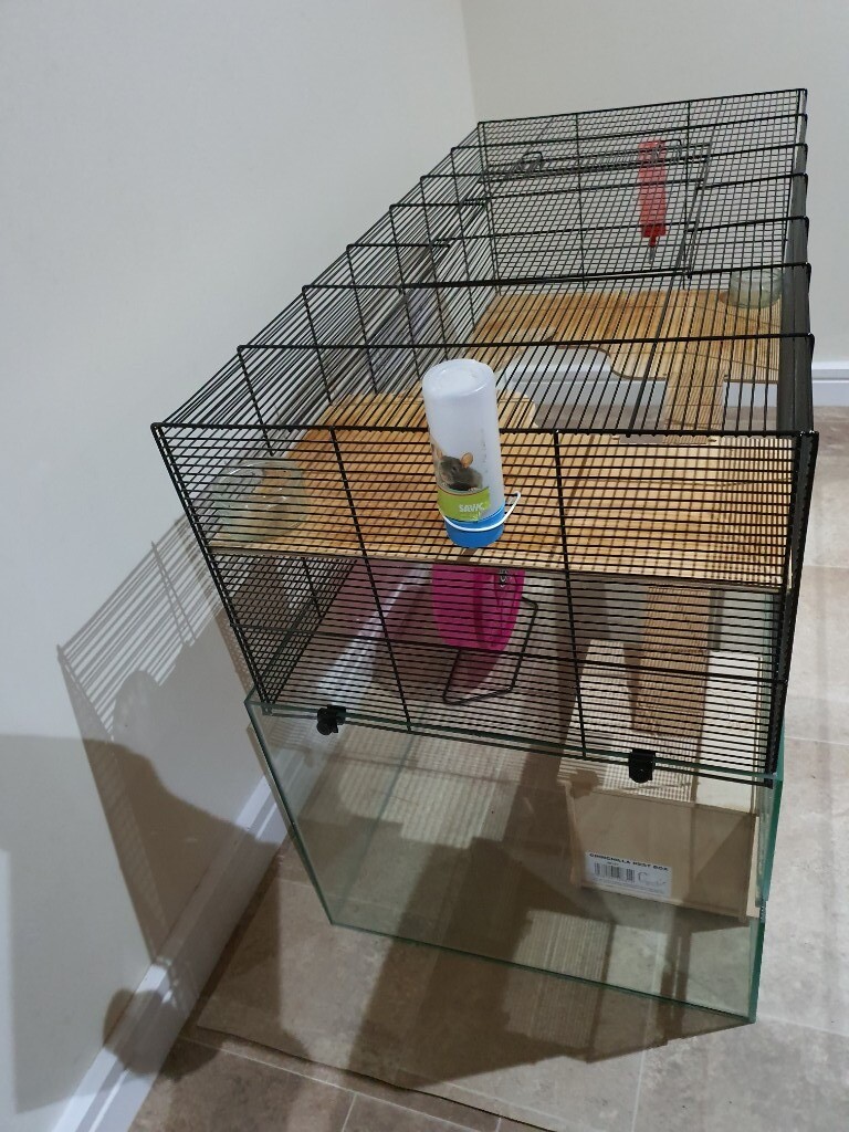 Skyline Falco Large Pet Cage / Tank 200L capacity Ideal for Gerbils, mice etc! in Forfar