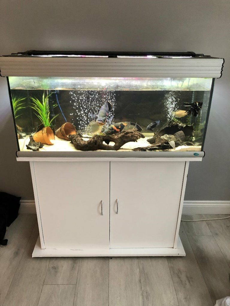 Large fish tank aquarium complete with led hood, filters, heater and